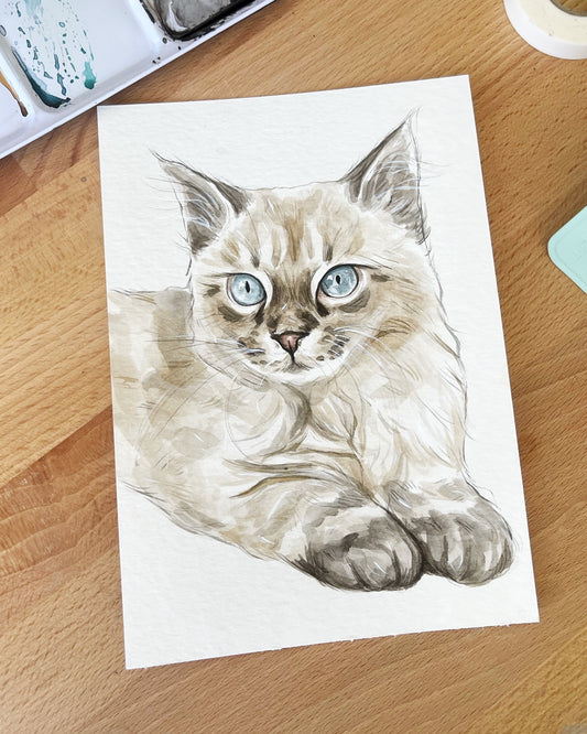 A5 Pet Portrait